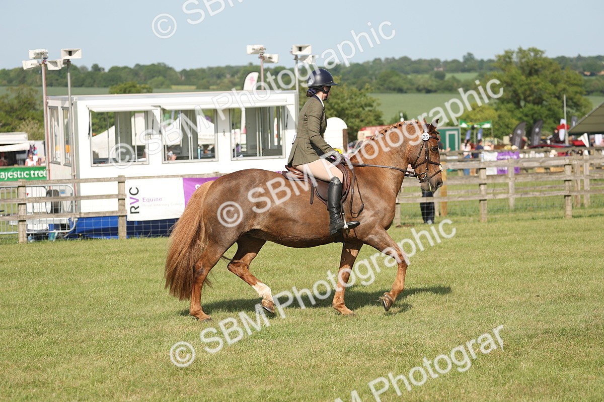 SBM_10200 - Class 33-38 - SSADL RIHS Qualifiers