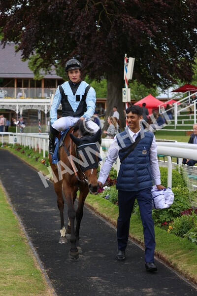 yr22052022r1-31 - Race 1: 3:30pm Sky Bet Sunday Series Apprentice Stakes