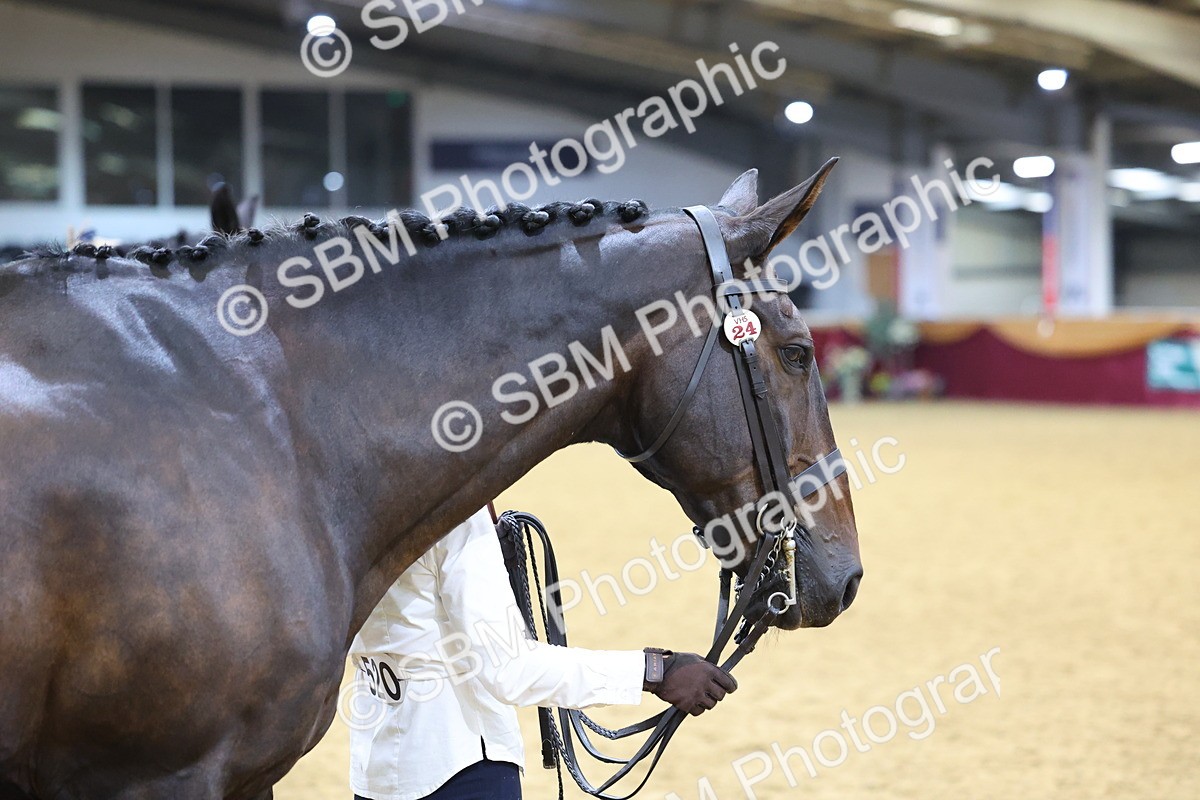 SBM_20845 - Class 902 - Supreme Final IH Veteran