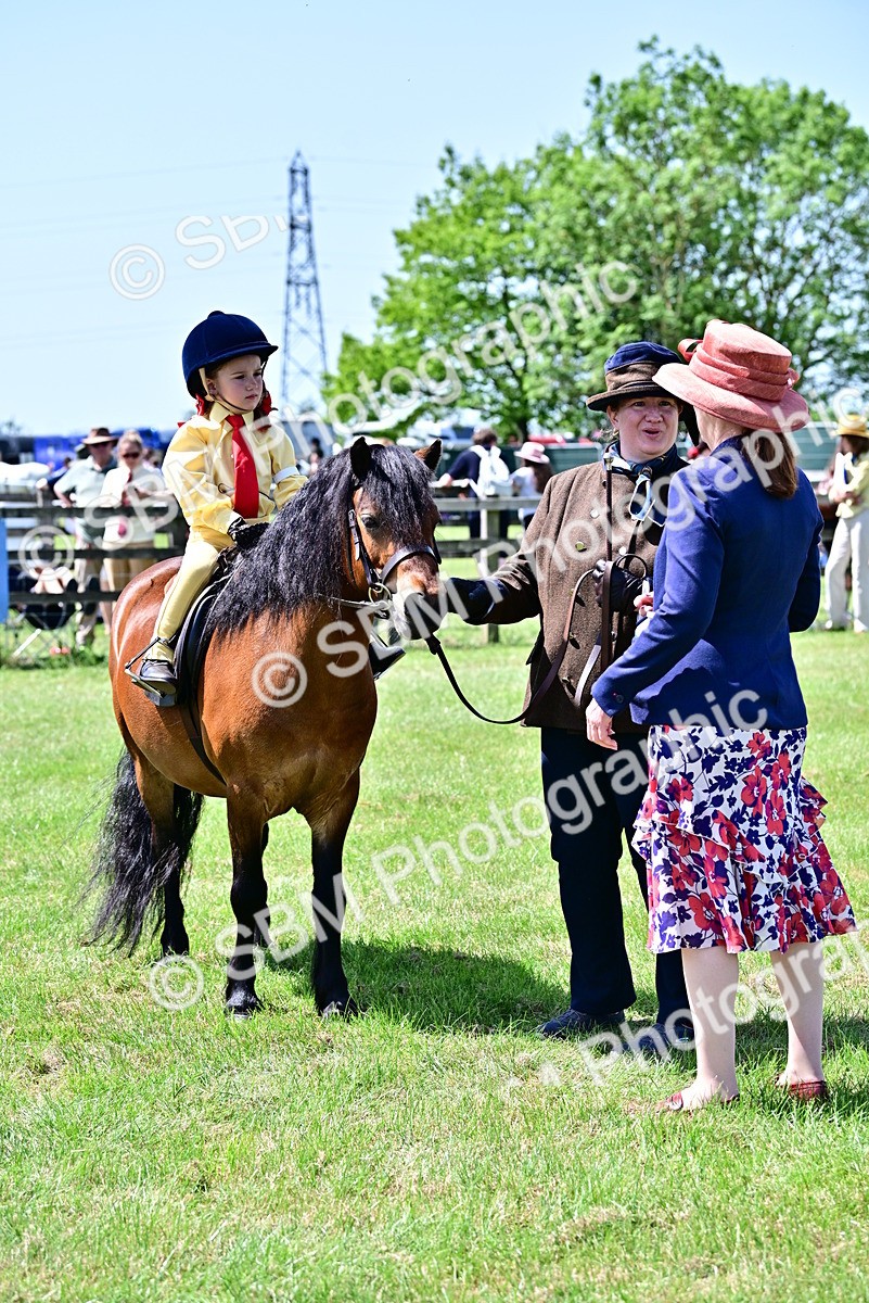 SBM_05971 - Class 59-60 - TSR M&M  Lear Rein and First Ridden Amateur of the year