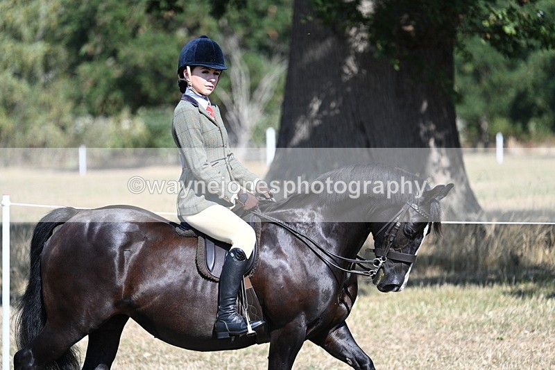 WJ7_3450 - Class 9 Mountain & Moorland Ridden