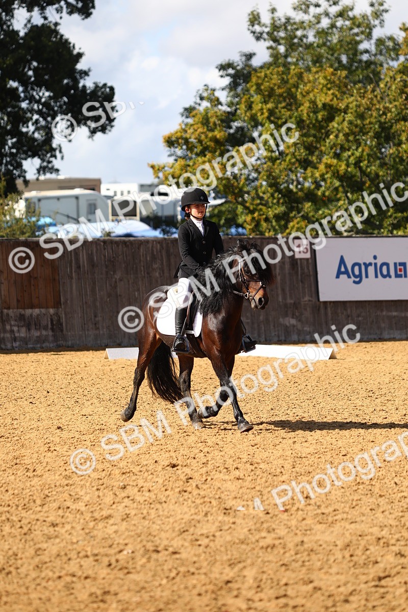 SBM_49079 - D23 - Junior Championship Prelim 1