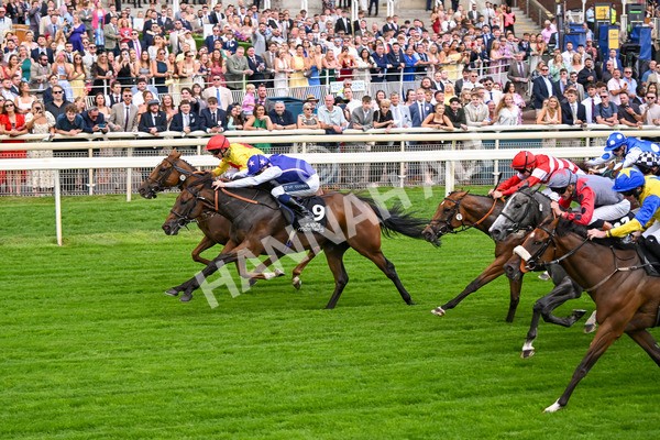 250725-Race 1-Pressures On - Quest For Fun-5360 - Race 1 5.30pm eventmasters.co.uk Handicap