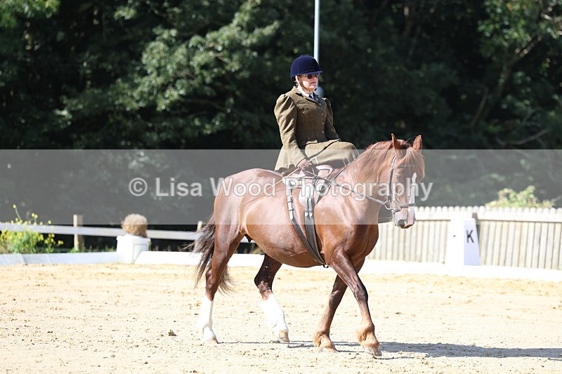 3E7A2724 - Class 4: Prelim 6 Section A Championship