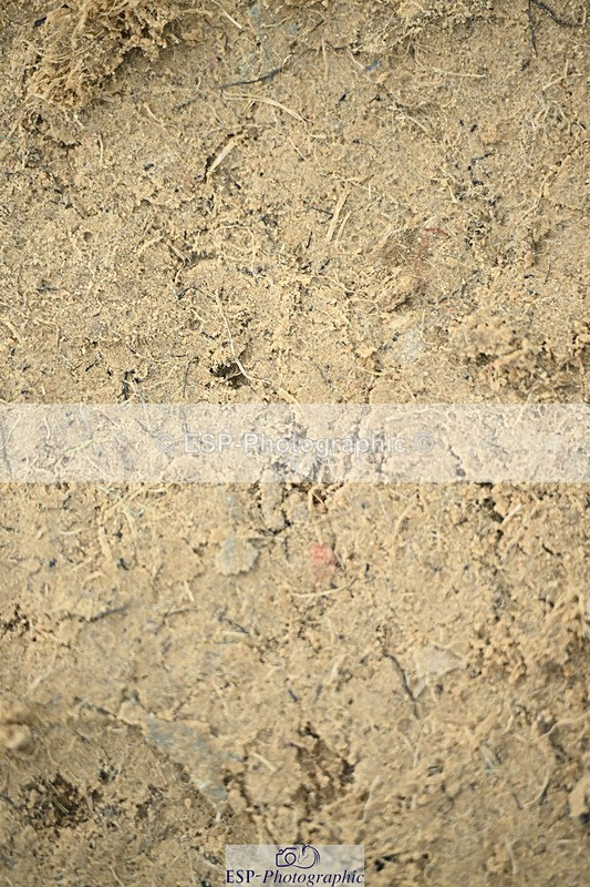 240822X-143822-10474 - 50cm R1 14.00 to 15.00
