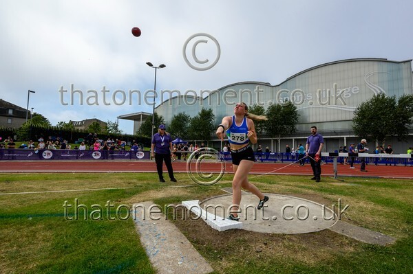 Age25SUN-929262 - Field Female Set Two