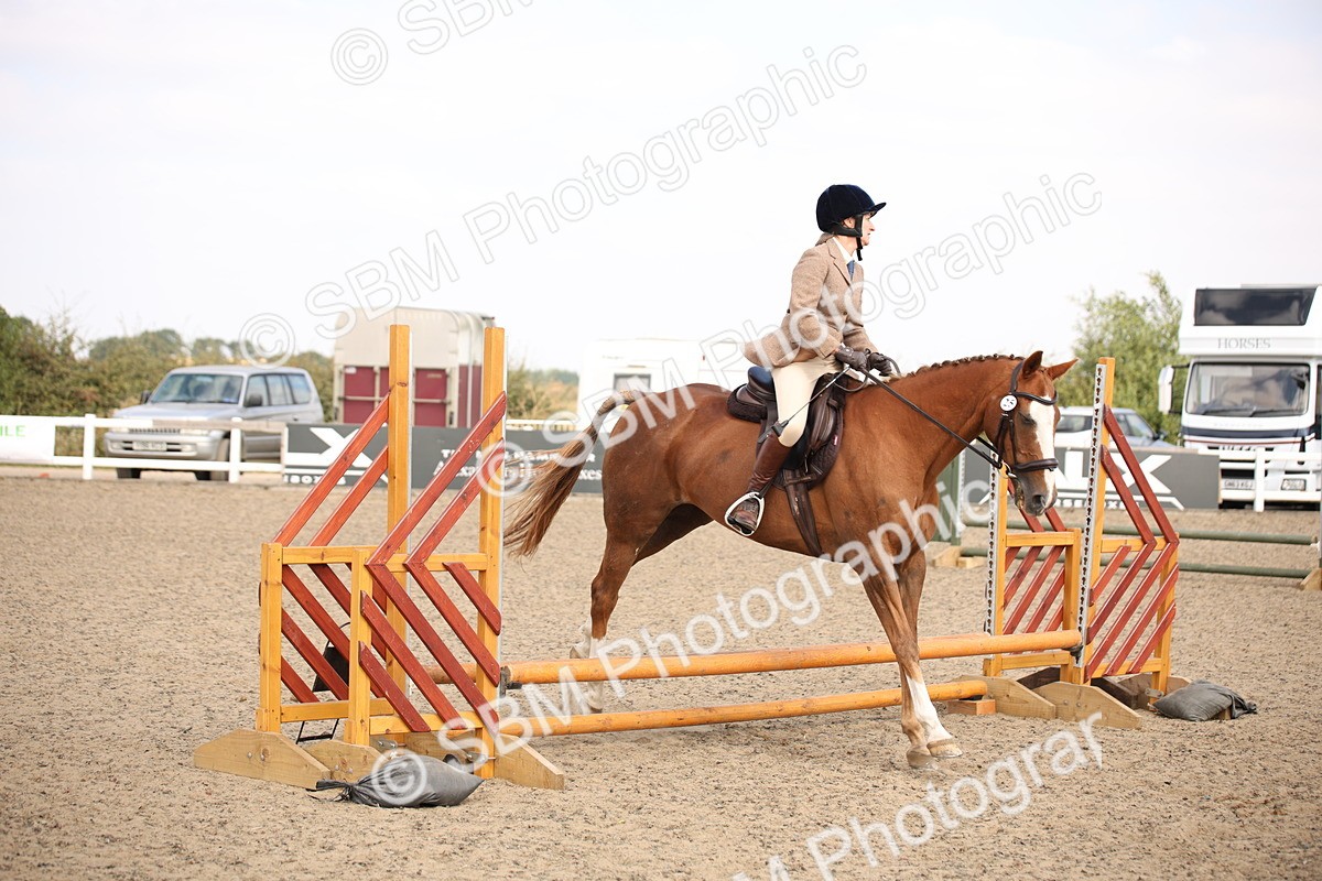 SBM_13596 - Class 406b - Working Veteran 50cm (20+)