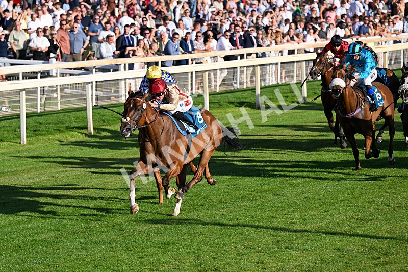 240726-Race 4-Rajaking-0423 - Race 4 19.15pm Tomahawk Handicap