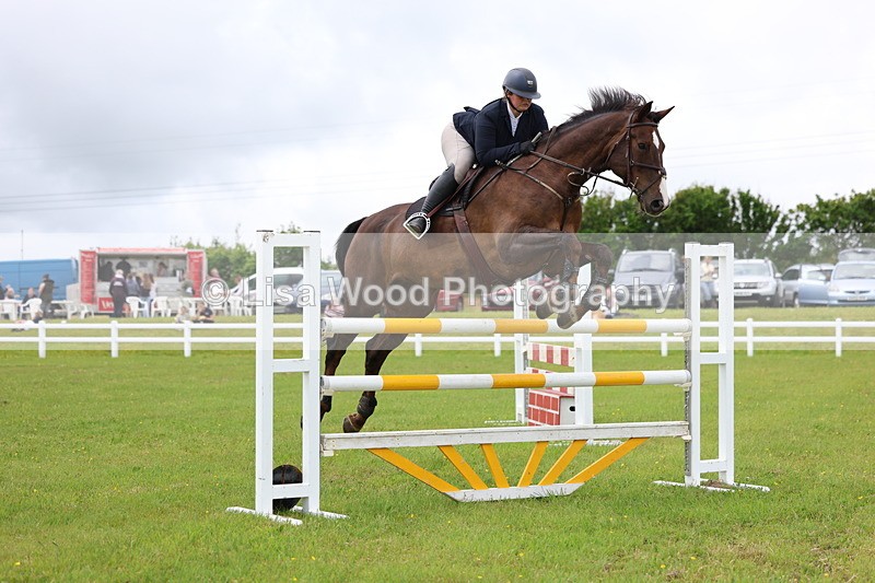 3E7A7075 - Class 12: Senior Foxhunter/1.20 open