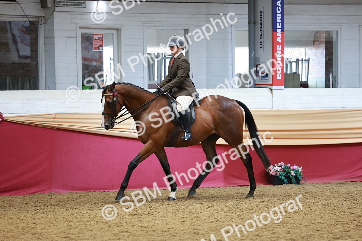 SBM_14913 - Class 108 - Ridden Retired Racehorse