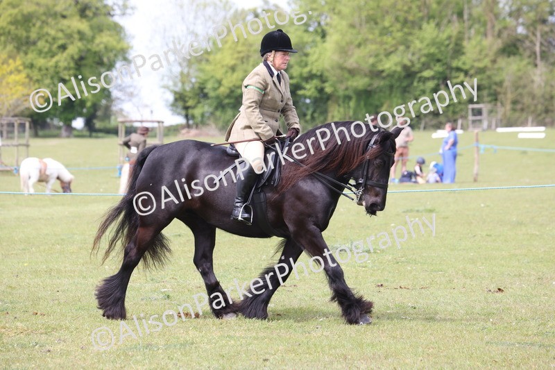 20260426-2948 - Class 33 - Best Pony 14.2hh and Under