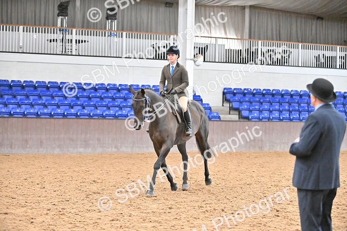 SBM_002377 - Class 22 - BSHA Ridden Hack & Riding Horse