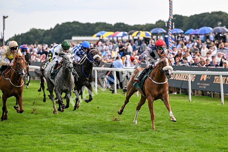 190826-Race 6-Miss Yechance-1645 - Race 6 16.45pm Irish Thoroughbred Marketing Handicap