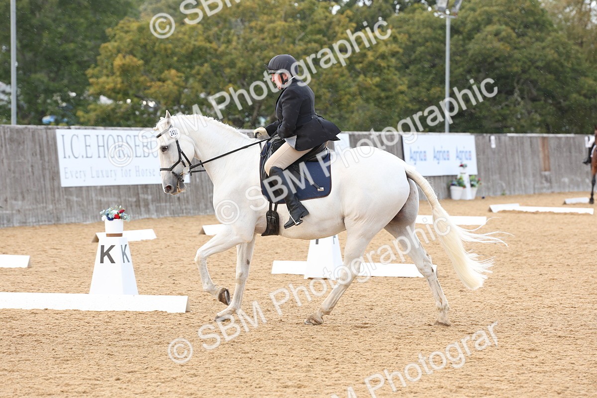 SBM_28296 - D20 - Grand Tour Championship Elementary 3