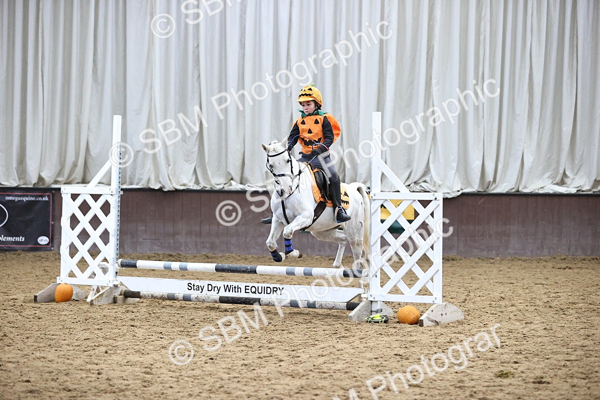 SBM_001355 - Class 3 - Horse & Hound 60cm