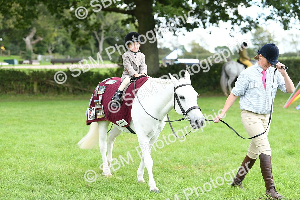 SBM_46762 - S12 - Family Horse & Pony
