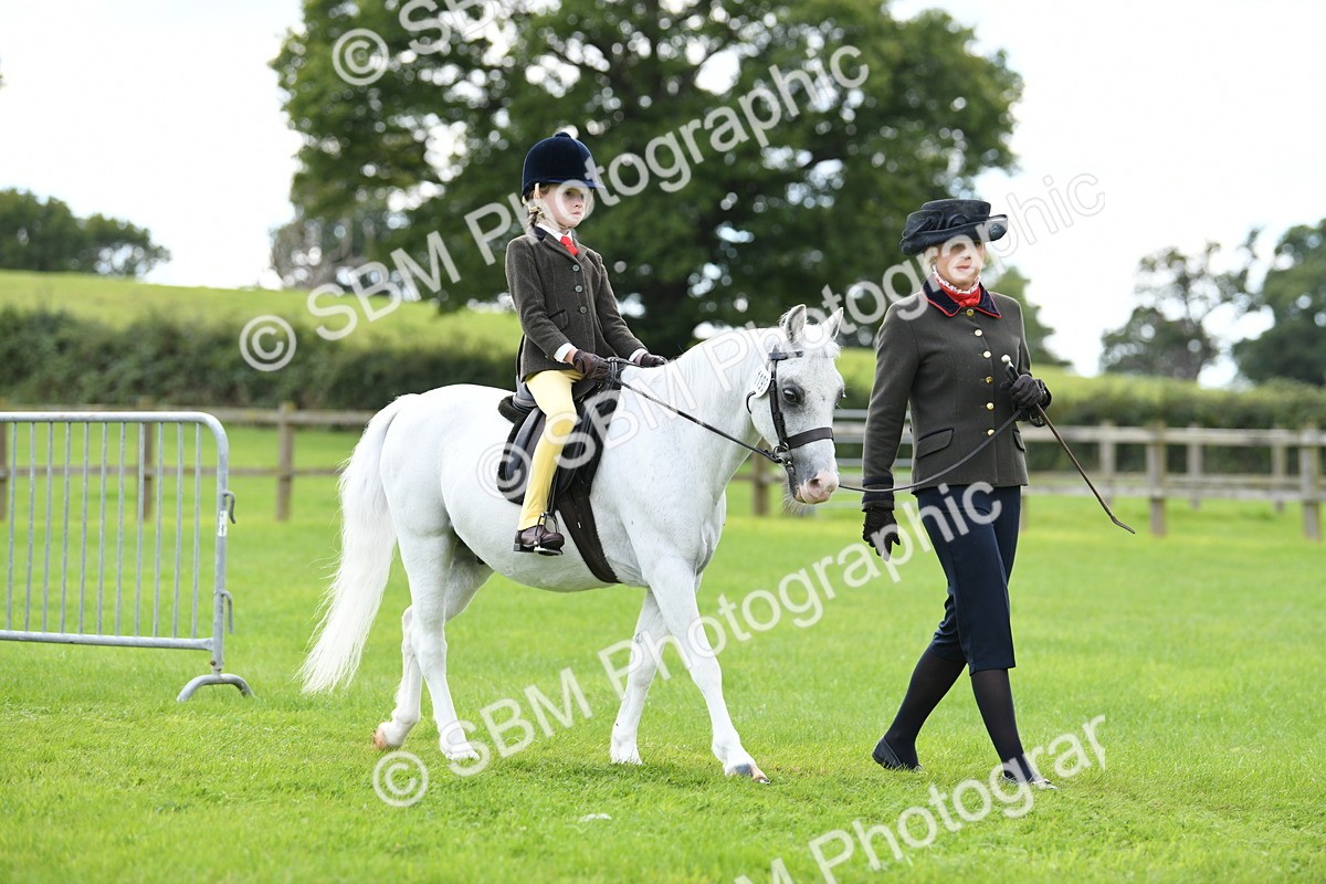SBM_42412 - S20 - Lead Rein Mountain & Moorland Pony