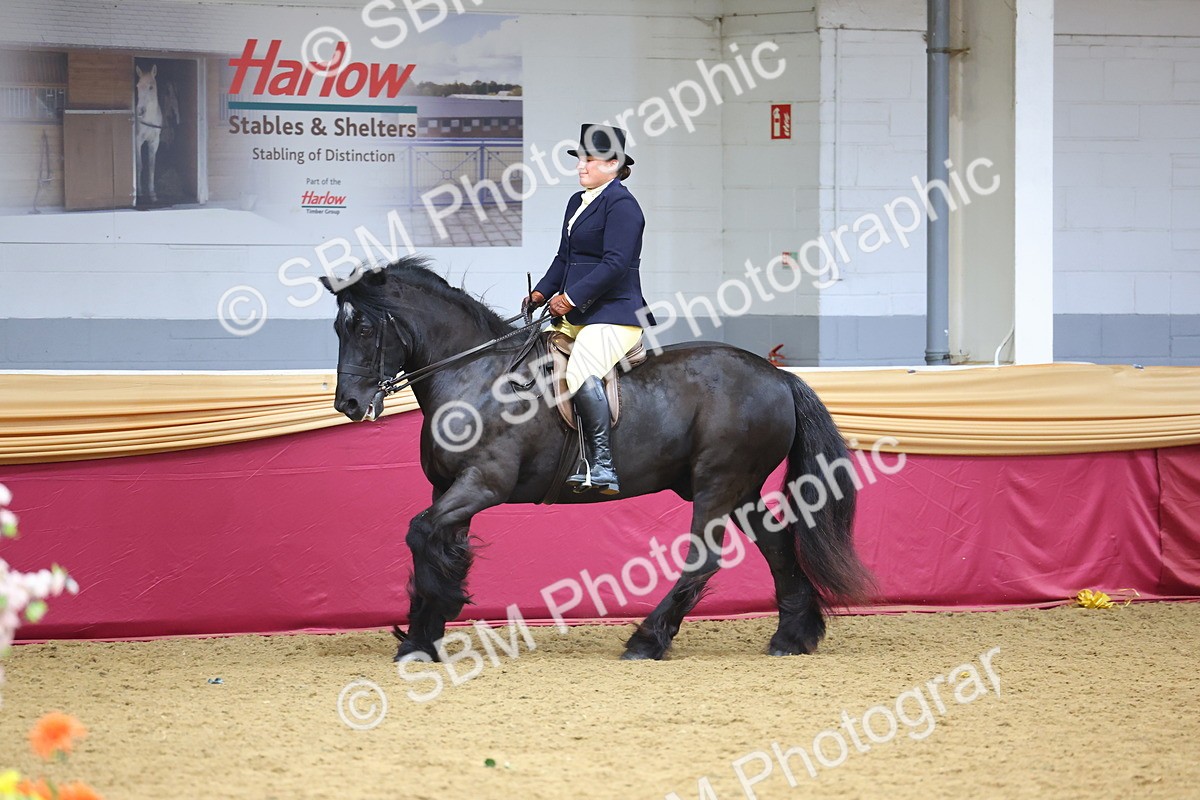 SBM_23726 - Class 904 - Supreme Final Ridden Diamond