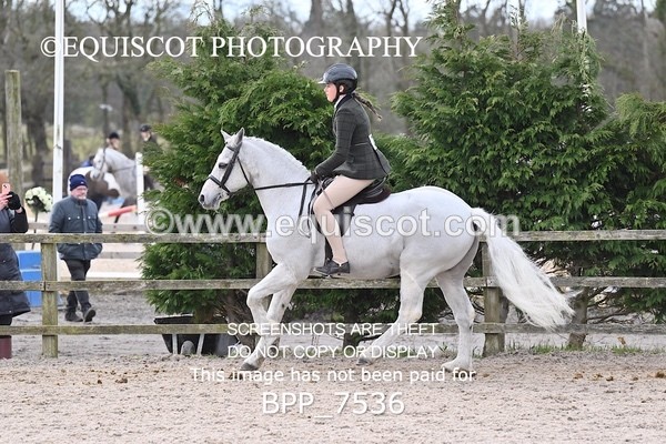 BPP_7536 - RING 1  (RIDDEN HORSES / IN HAND / VETERAN ETC)