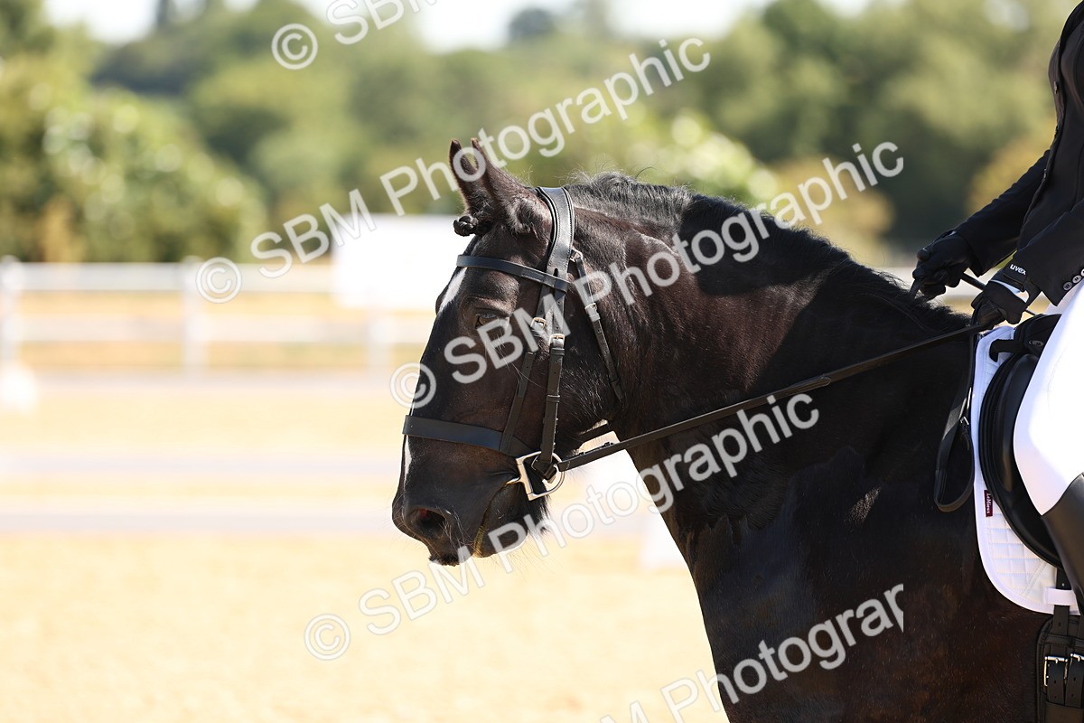 SBM_001049 - Intro 2