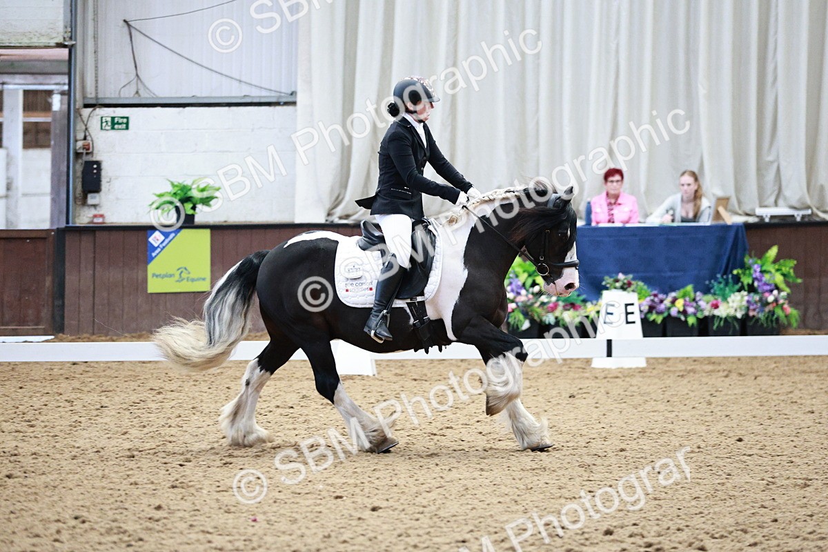 SBM_004128 - Class 13-19 - Novice FSM-INT 1 - 9.00-9.54