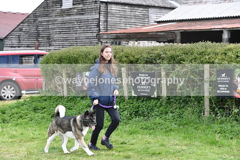 WJ5_9982 - Class 5 Best Veteran / 7 years & over