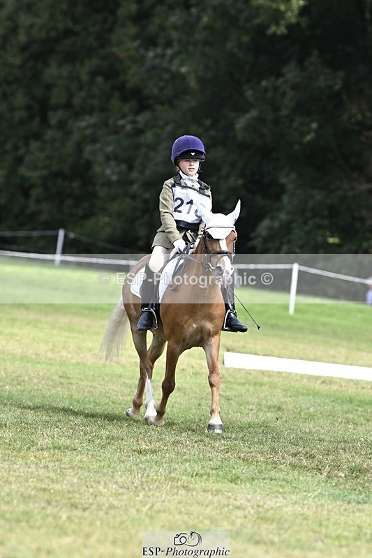 250822A-121747-22677 - DR 11.00 to 12.00