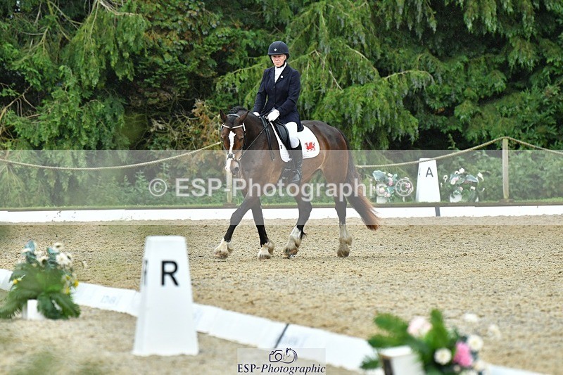 230722-162831-03963 - Cls 5, Elementary Silver 15.10 to End