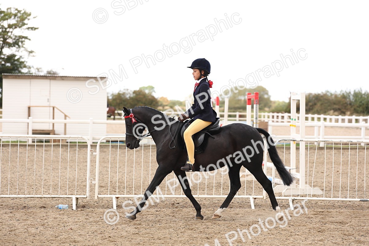 SBM_04203 - Class 54 - Riding Club Horse/Pony