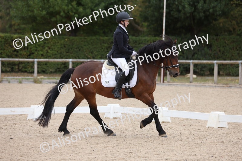 20250820-1236 - Class 18 - Elementary 5