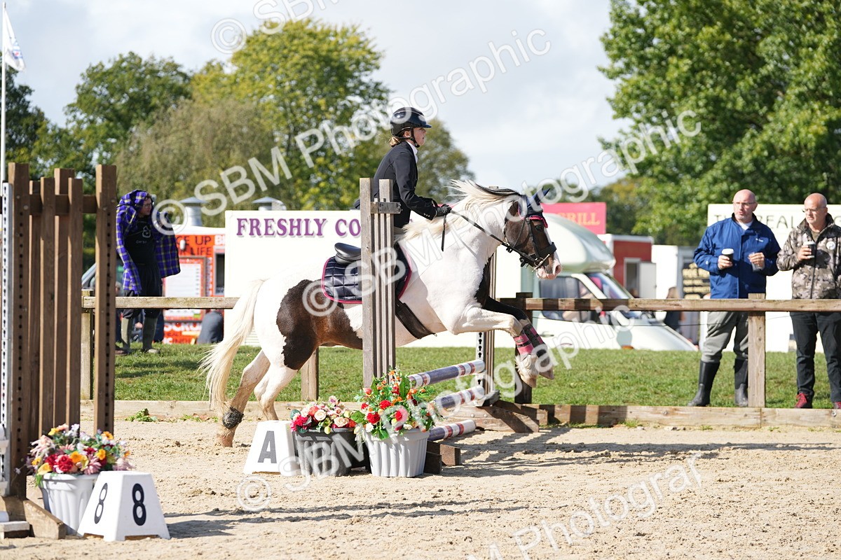 SBM_38420 - J6 - Junior Pony 55cm Championship