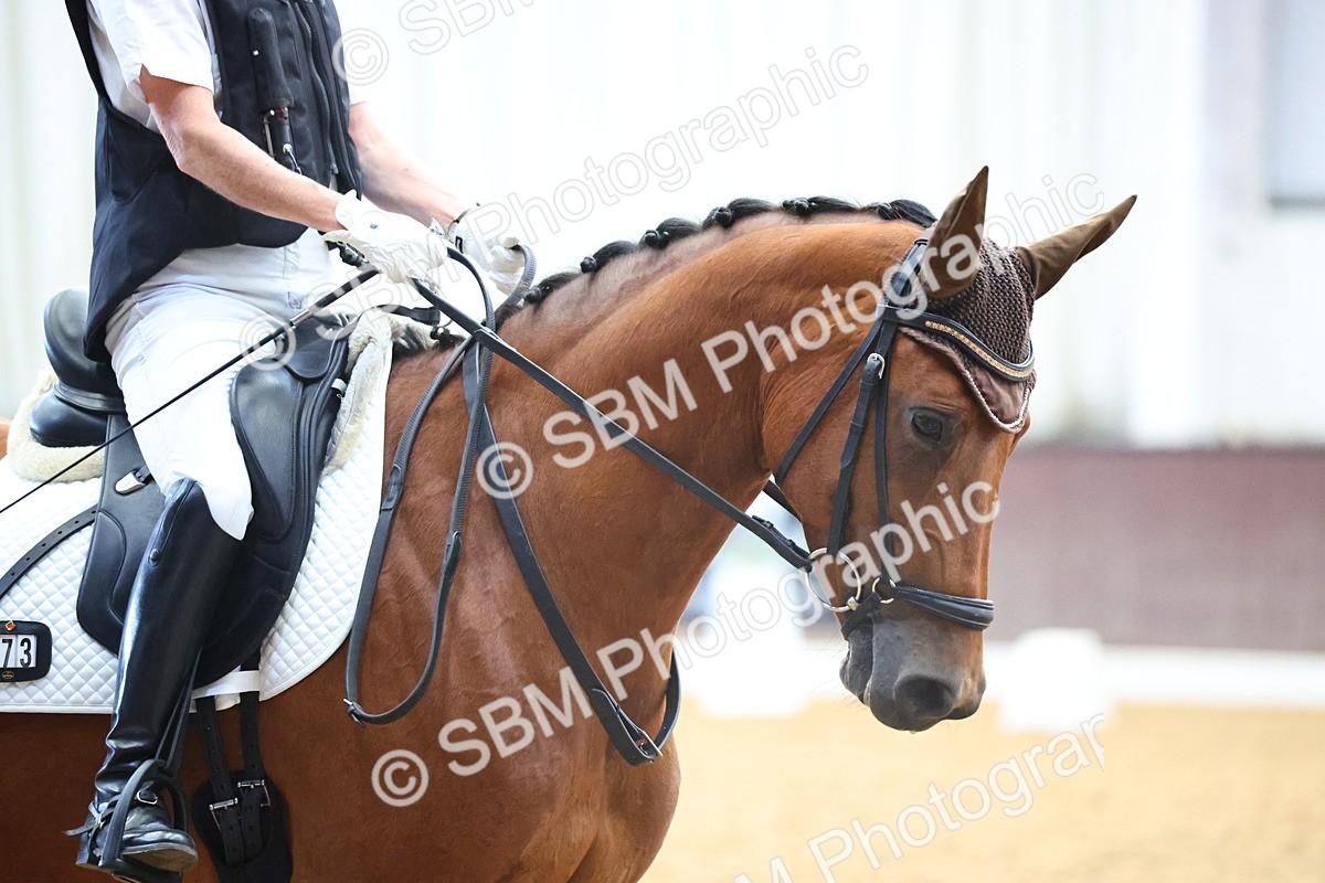 SBM_020931 - Class 11 - P5