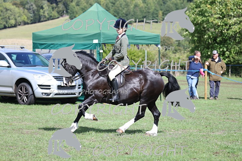 APP_3550 - Class 12 M&M ridden