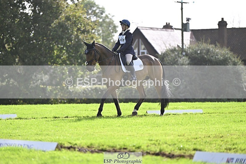 241025-114036-06900 - 369-Carolyn.Price-I.WISH.ANDY