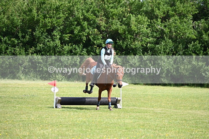 WJ6_2585 - Class 2 40cm