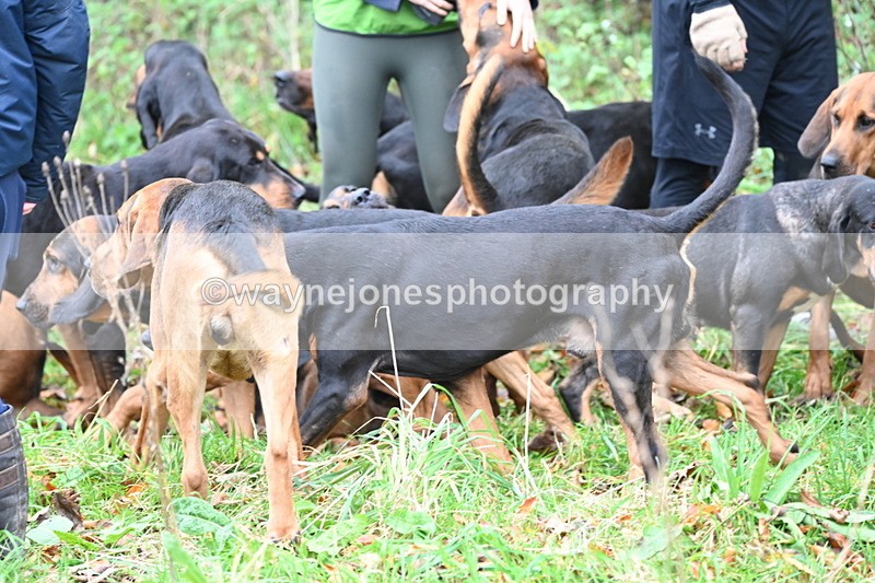 WJ6_8640 - Meet