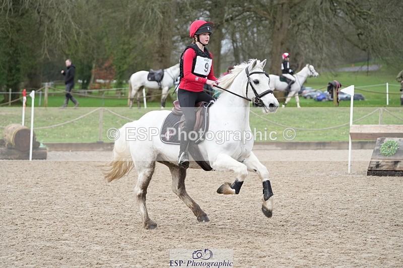 260301A-105208-01830 - NSEA 80-85cm