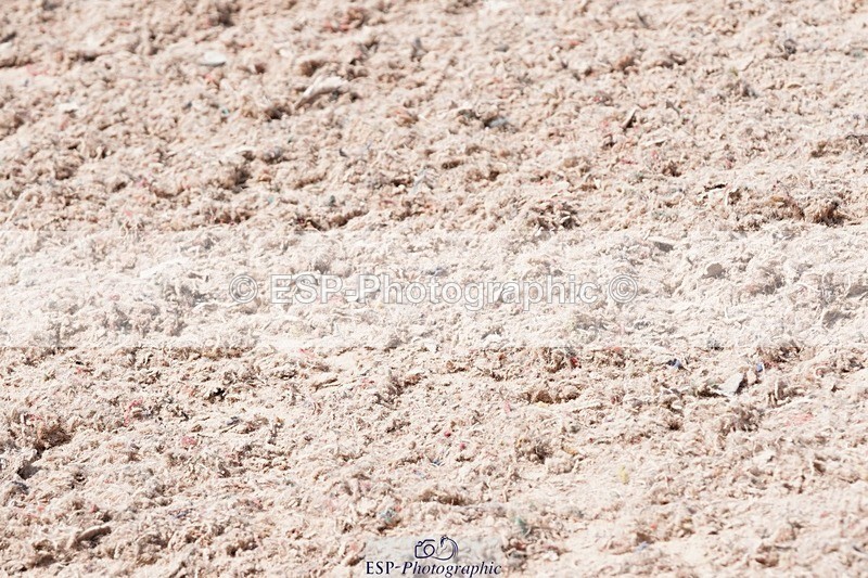 250503-124208-01109 - Cls 25 Club 1m