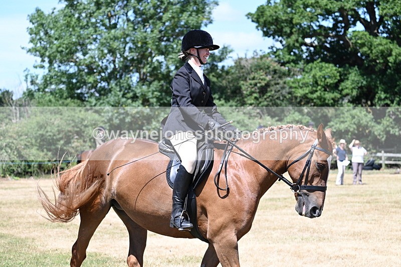 WJ7_2994 - Class 7 Riding Club Show Horse