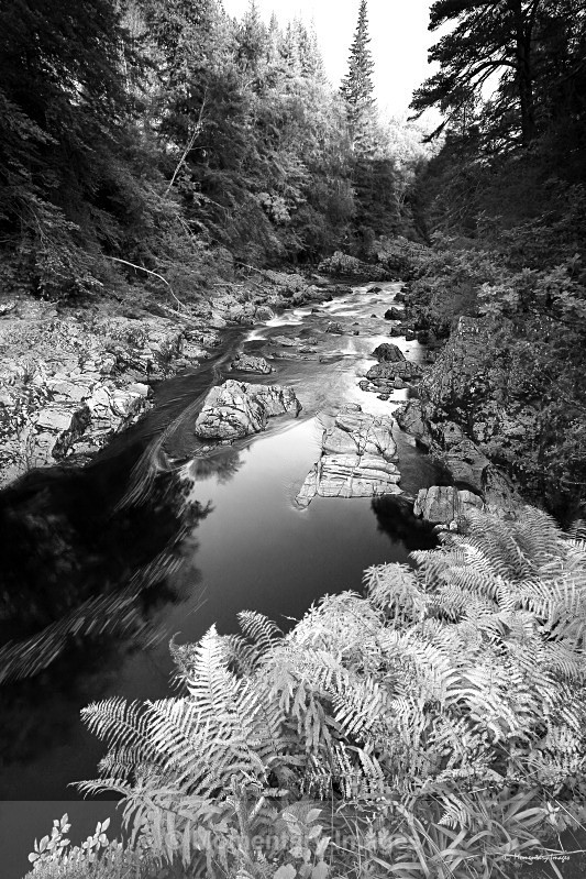 View downstream - Black and White