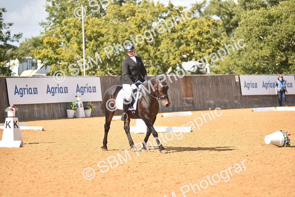 SBM_24197 - D4 - Small Tour Championship Intro 4