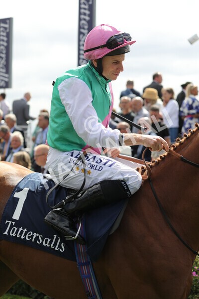 yr17082022r2-11 - Race 2 2.25pm Tattersalls Acomb Stakes