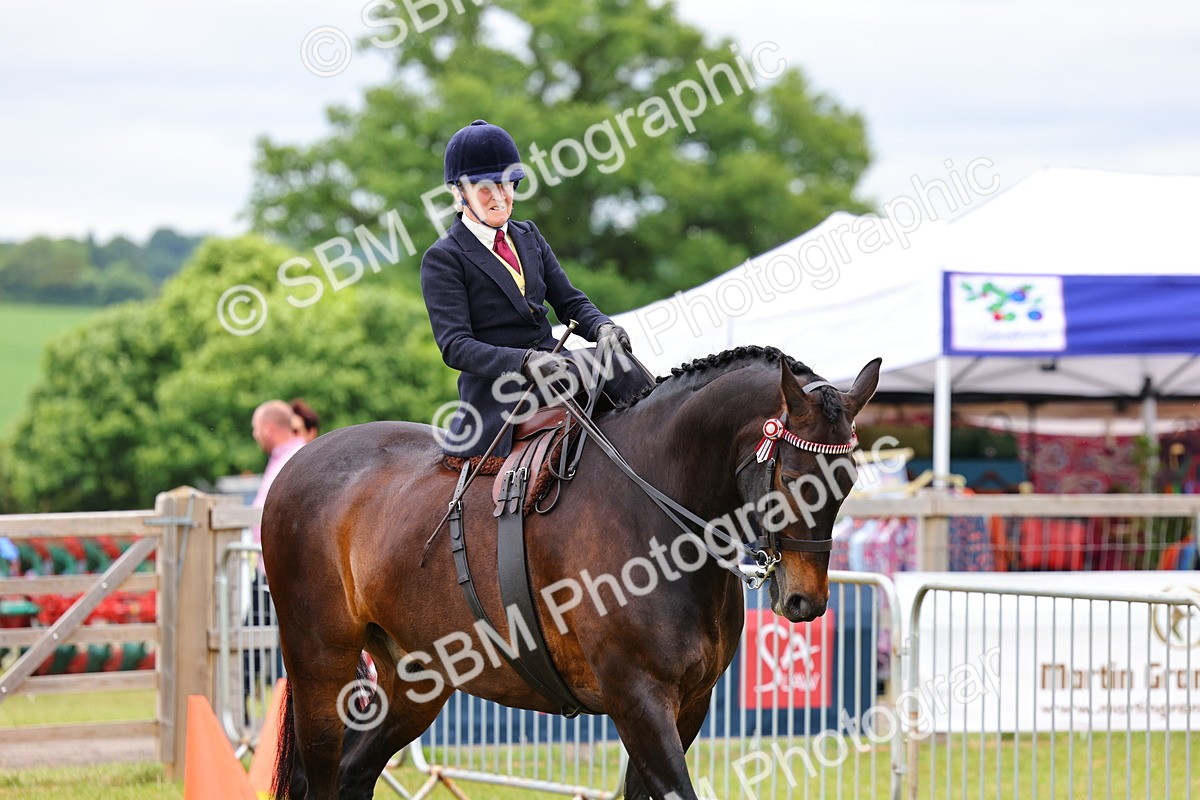 SBM_02923 - Class 9-11 Side Saddle including LIHS Rising Star Ladies Show Horse