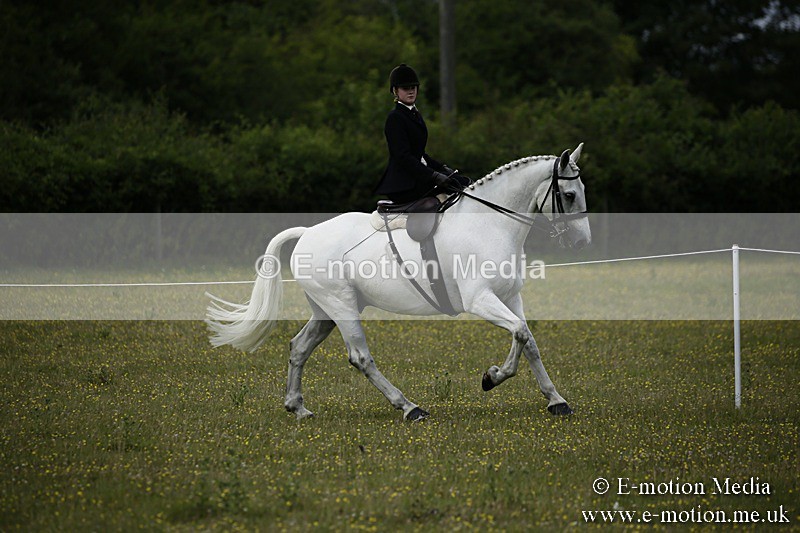 BVR160717-1641 - Side Saddle Classes 16/07/17