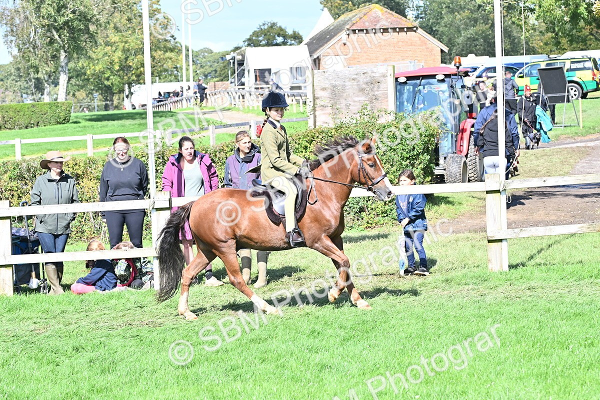 SBM_44560 - S13 - Pony Club Pony