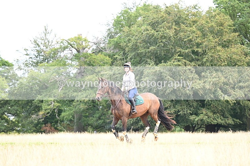 DSC_6987 - Time at Statue 12:45 to 13:15