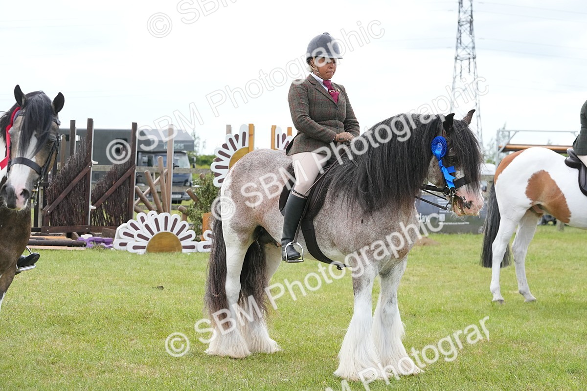 SBM_17677 - Class 107-108 - LIHS BSPS Performance Coloured Horse Pony