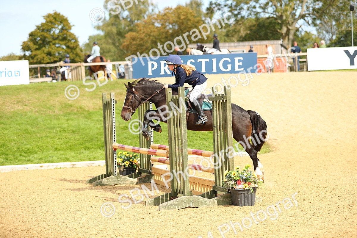 SBM_66135 - J17 - Junior Pony 80cm Championship