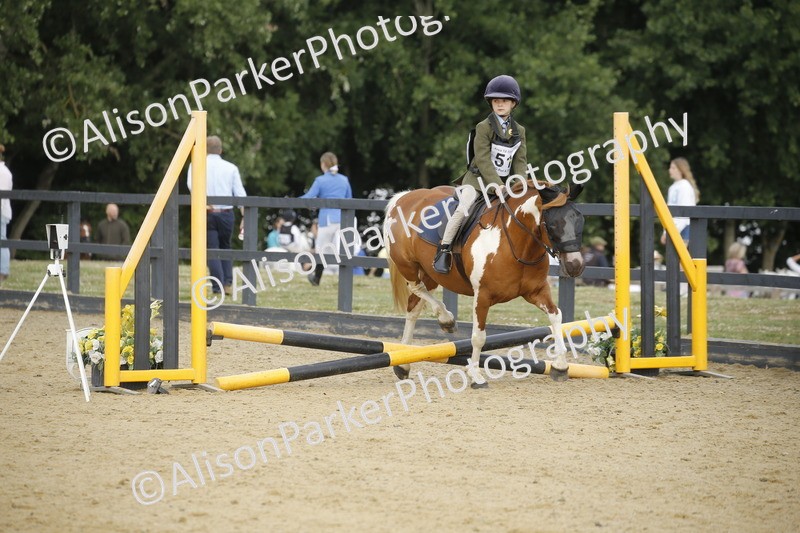 20250622-1283 - 40cm