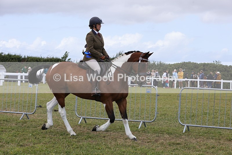 1X9A4660 - Class 34: Veteran Ridden